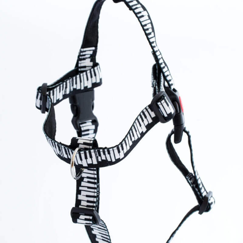 Harnesses