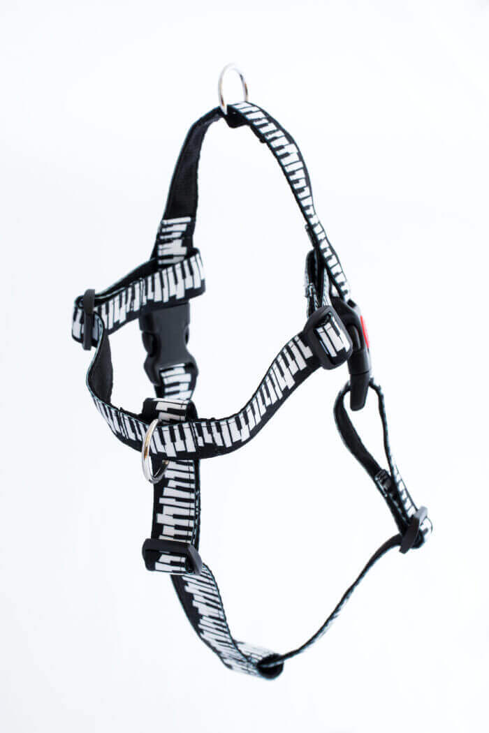 No-pull harness "Pianissimo"