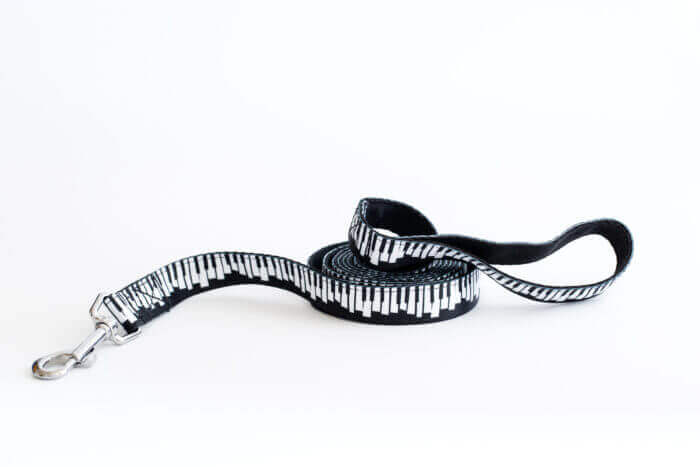 Dog leash "Pianissimo" - Image 2
