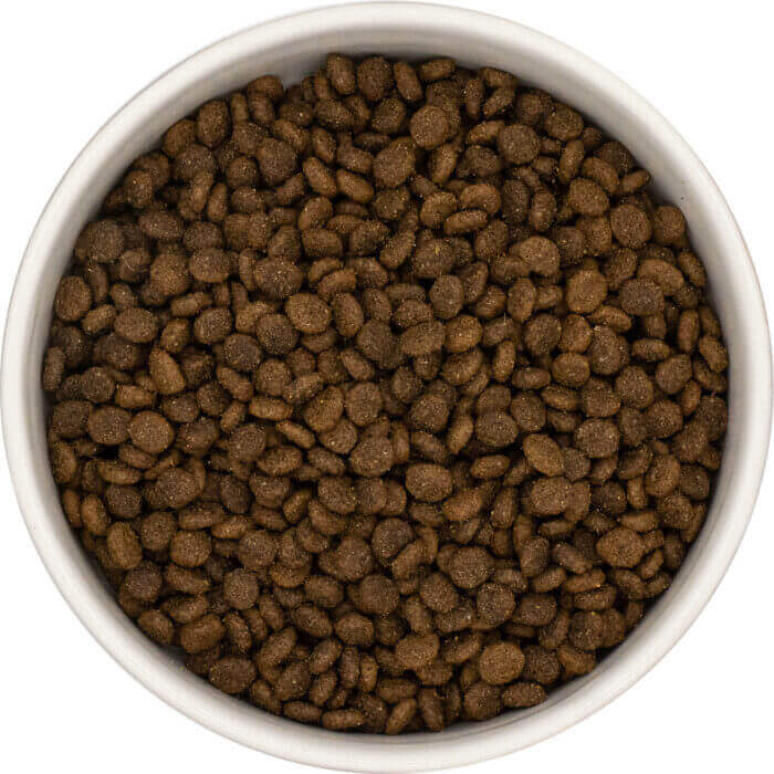 Adult Small Breed Grain-Free - Lamb with Sweet Potato - Image 2