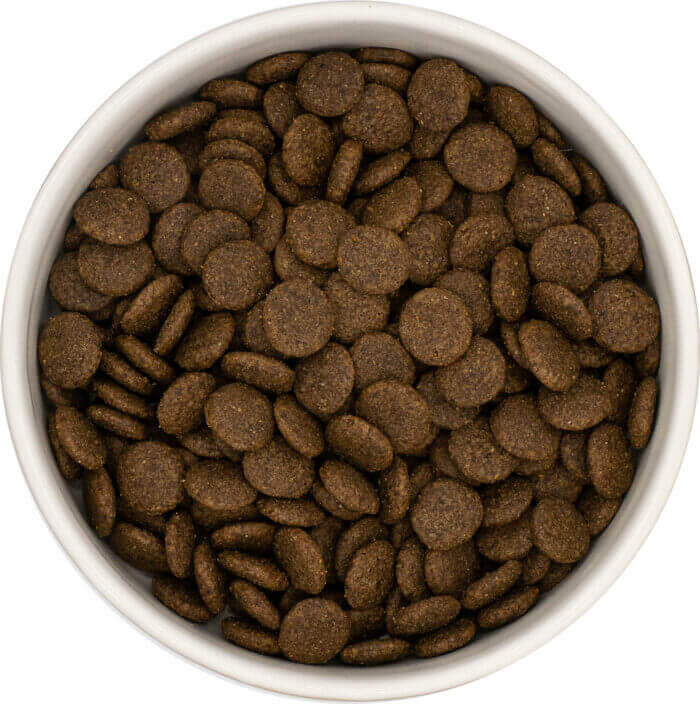 Adult Grain-Free - Angus Beef with Sweet Potato - Image 2