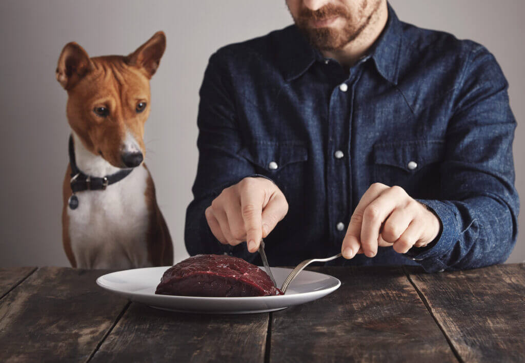 dog-eating-meat